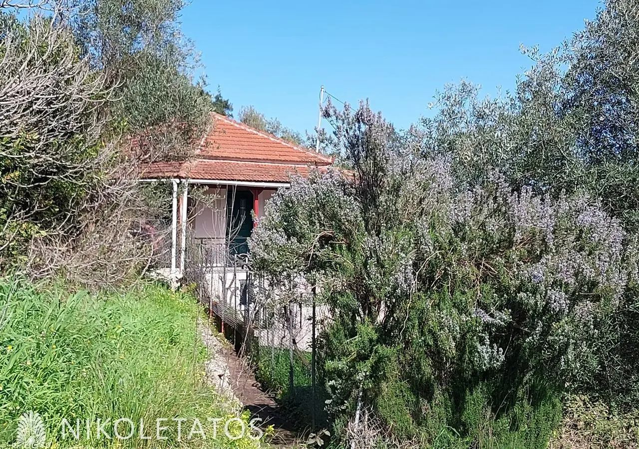 House Of 120 M² With Sea View In Tzannata, Greece