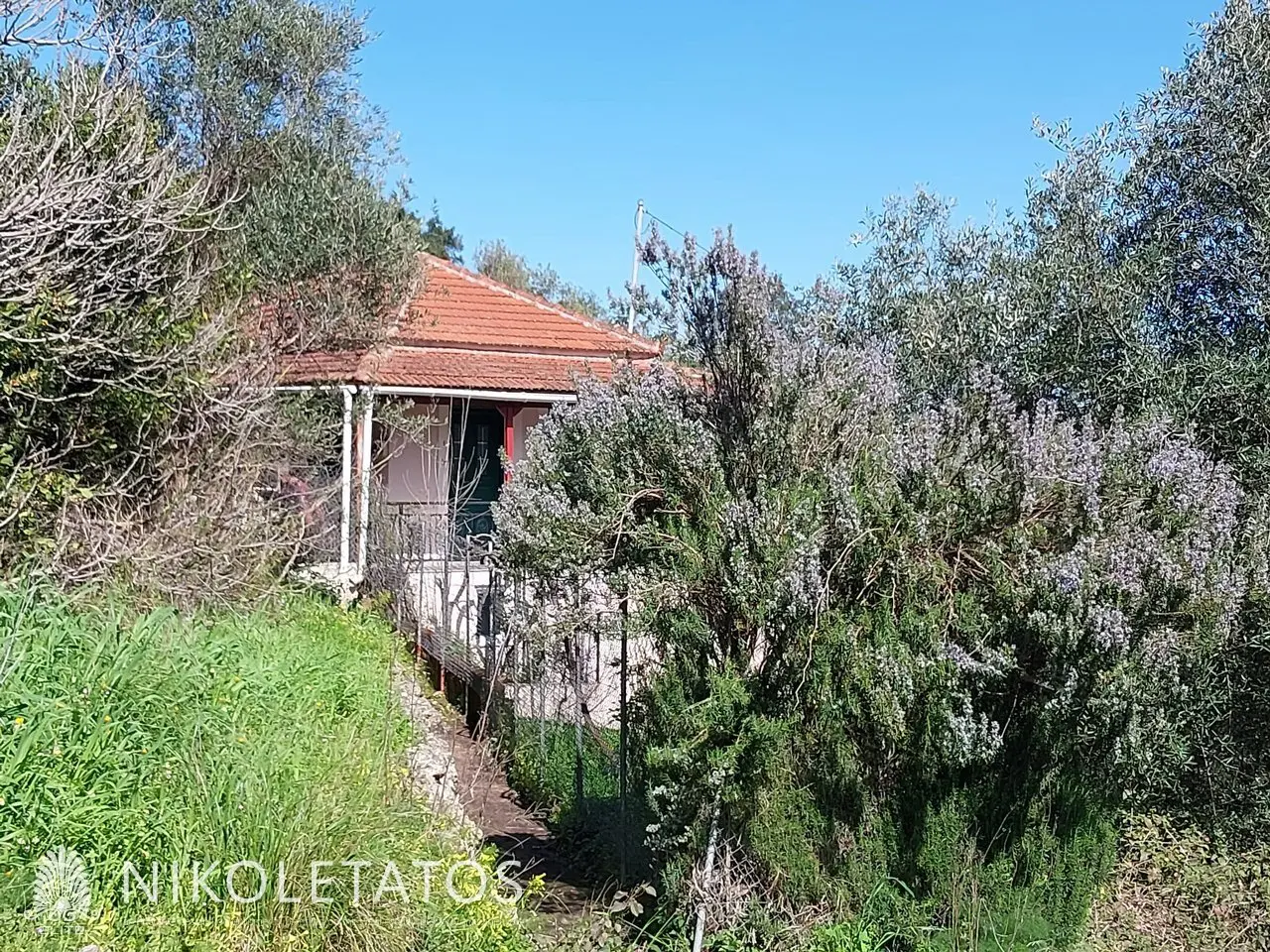 House Of 120 M² With Sea View In Tzannata, Greece