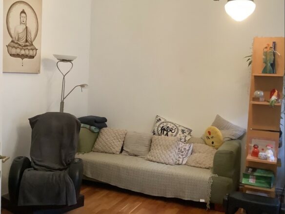 Apartment Of 81 M² With 3.7 M Ceilings & Loft Potential Near Városliget