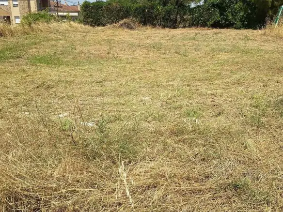 Land In Epanomi, Greece