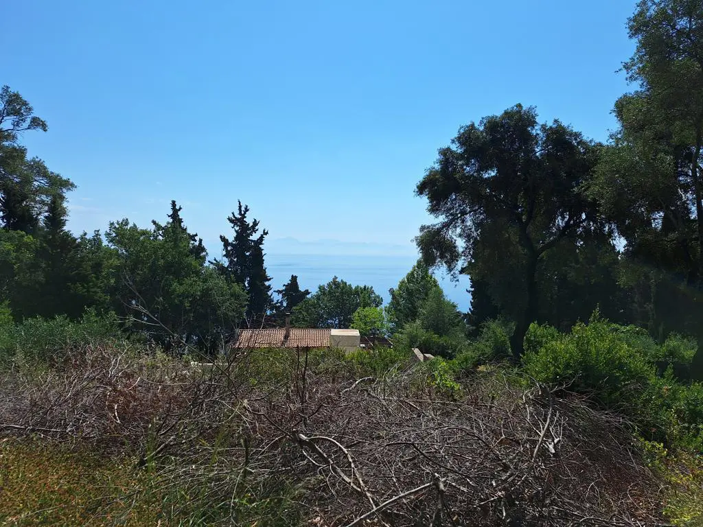 Land Of 8000 M² In Corfu