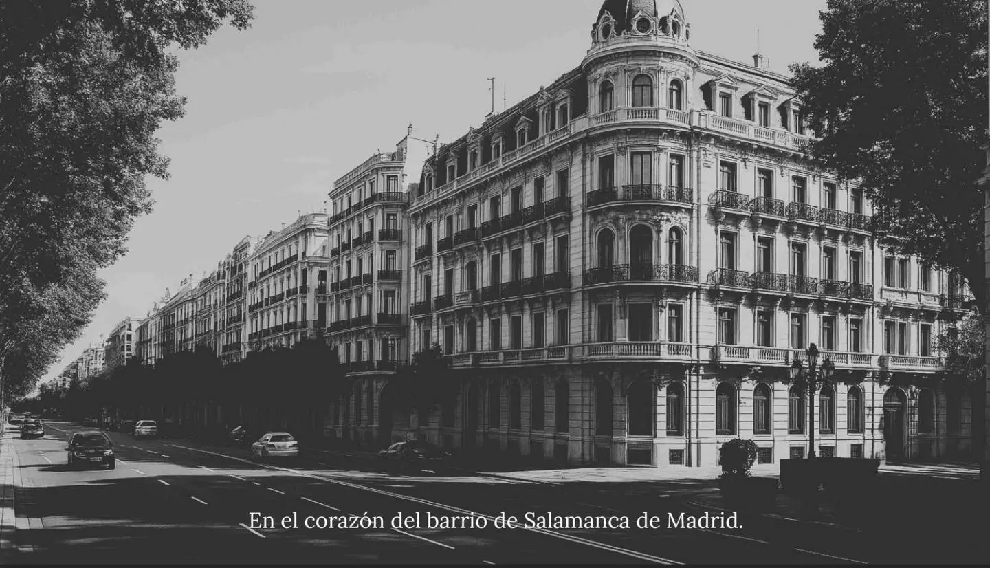 4231553-695c1543 House Of 300 M² With Balcony In Recoletos