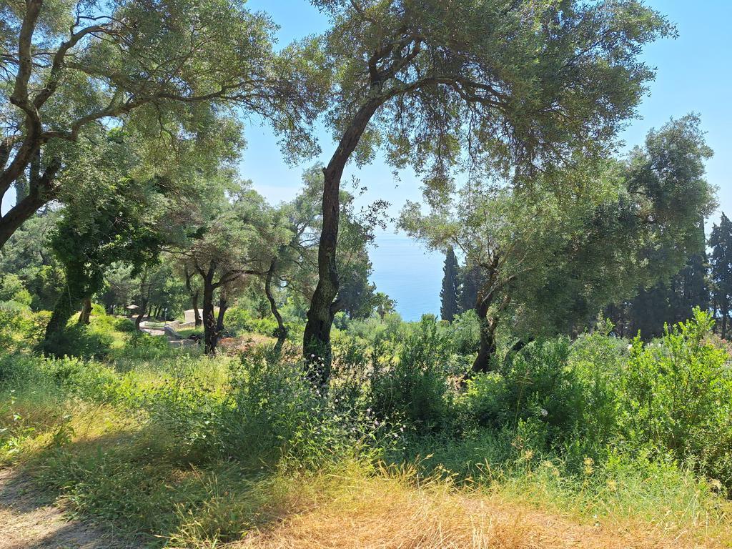 Land Of 8000 M² In Corfu