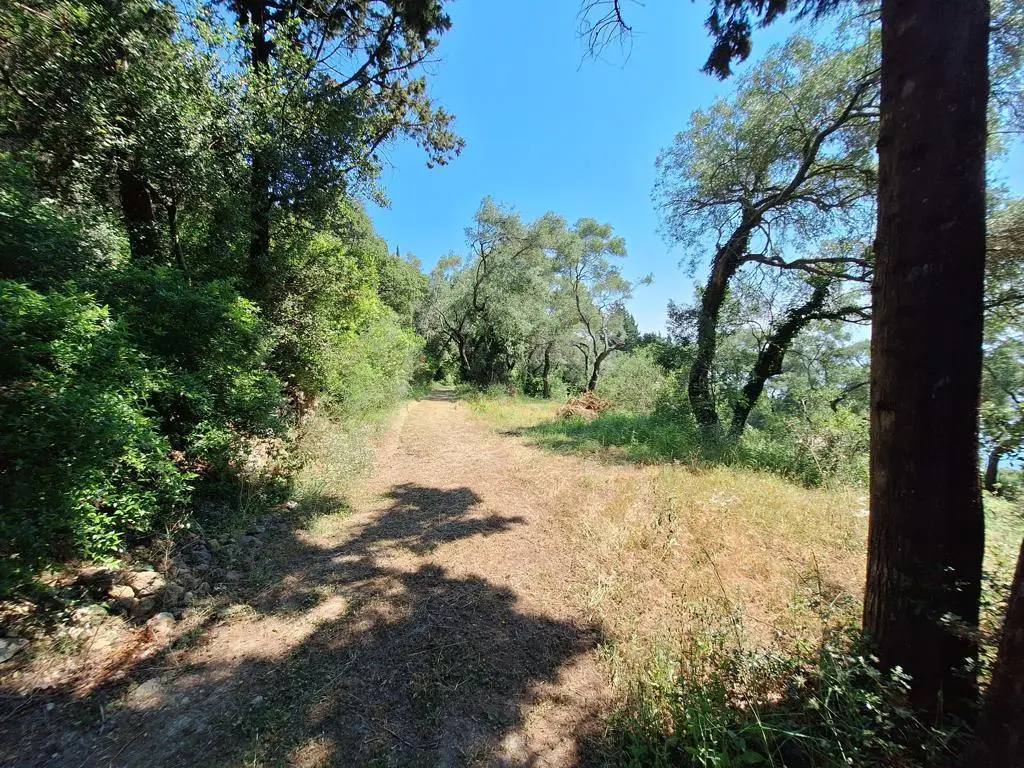 Land Of 8000 M² In Corfu