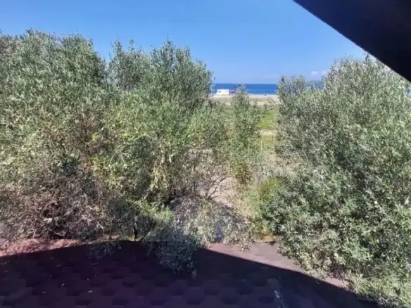 2-bedroom Detached House In Aristotle, Greece (60 M²)