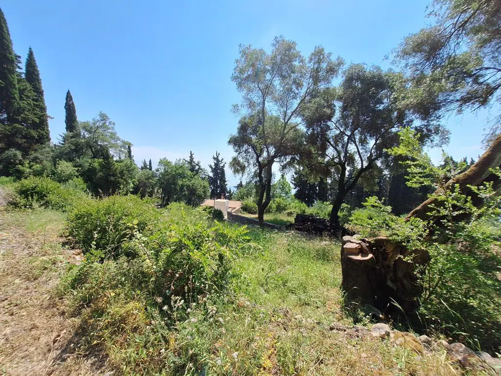 Land Of 8000 M² In Corfu