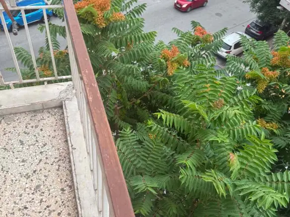3-bedroom Flat In Analipsi – Mpotsari – Nea Paralia, Greece (106 M²)