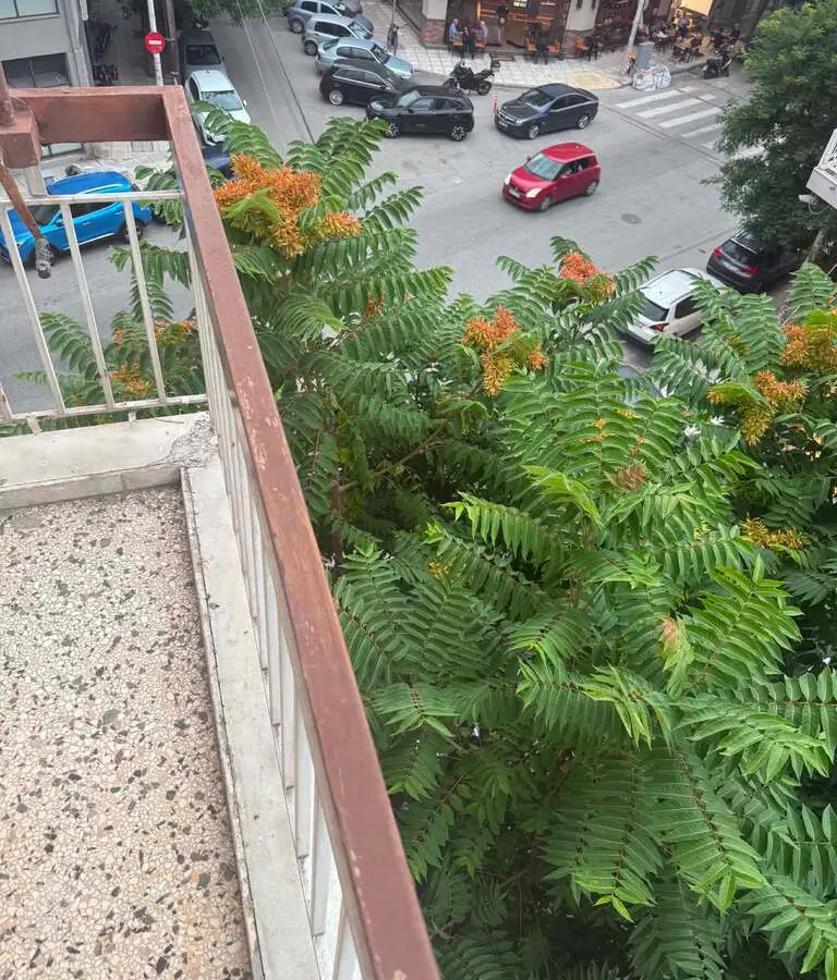 Flat Of 106 M² In Thessaloniki