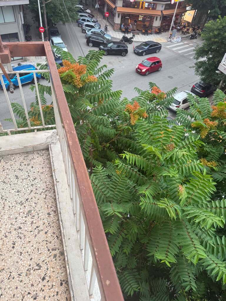 Flat Of 106 M² In Thessaloniki