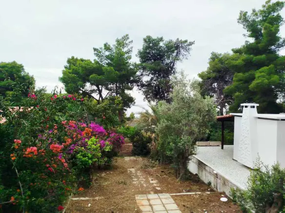 4-bedroom Detached House In Agioi Theodoroi, Greece (190 M²)