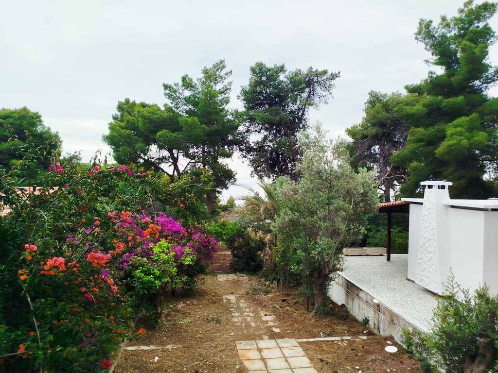 Detached House Of 190 M² In Peloponnese