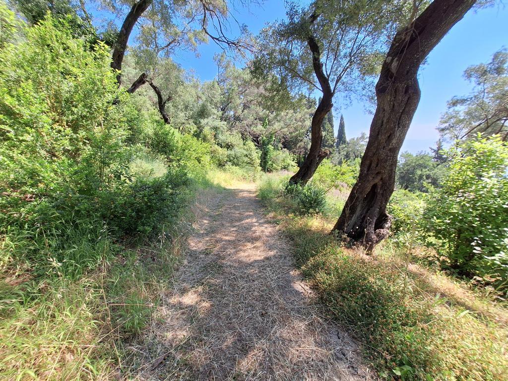 Land Of 8000 M² In Corfu