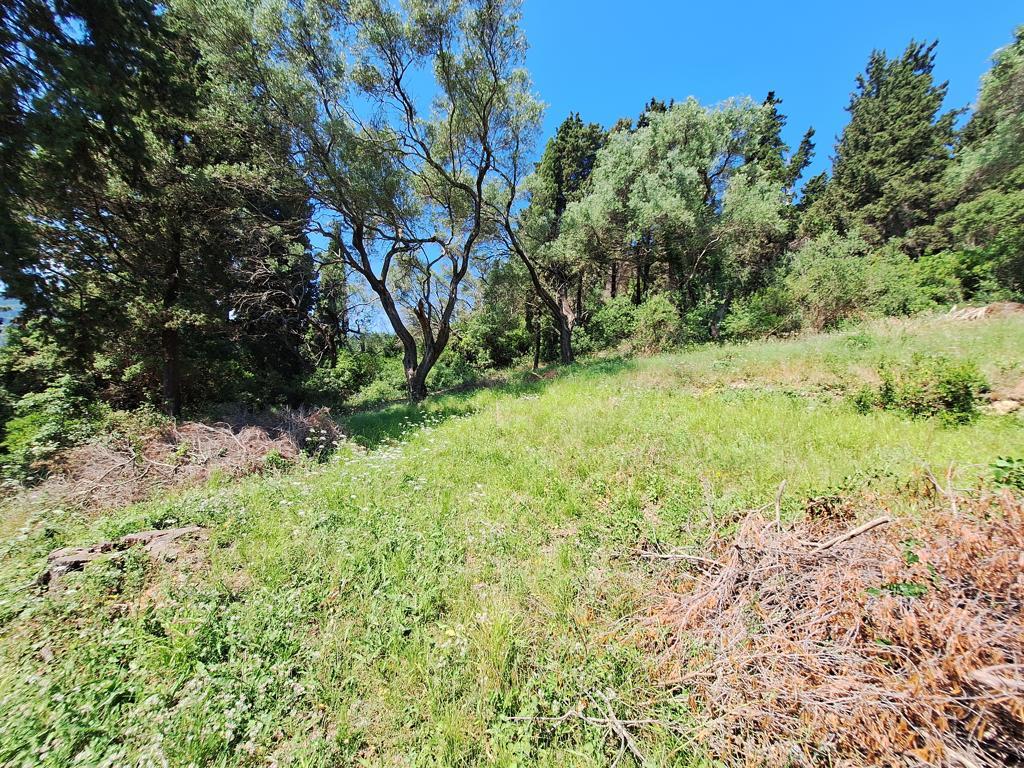 Land Of 8000 M² In Corfu