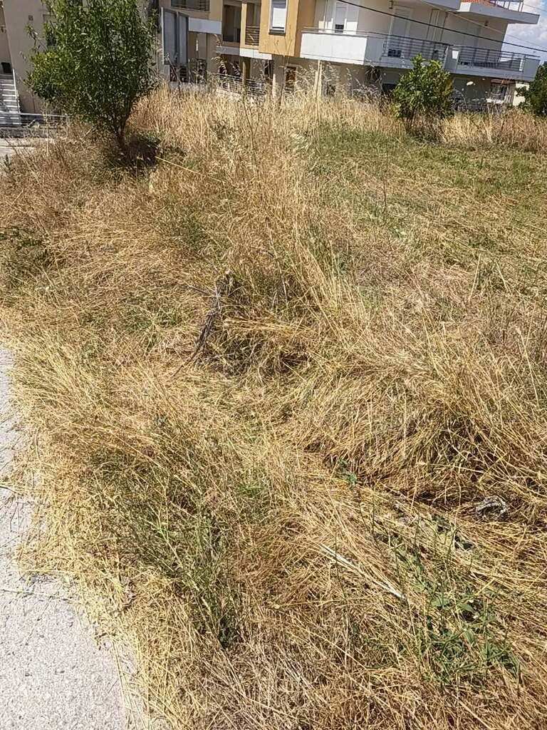 Land Of 1200 M² In Thessaloniki