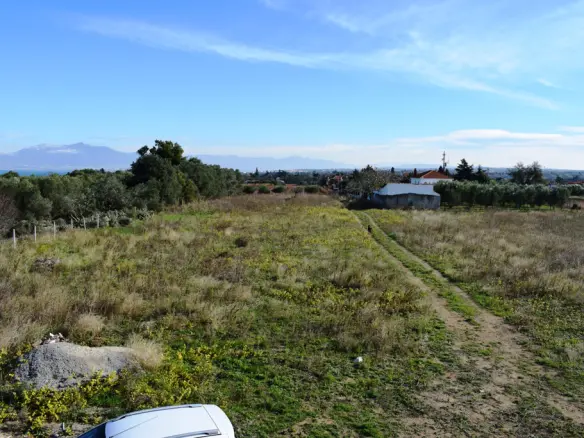 3-bedroom Detached House In Thermaikos, Greece (290 M²)