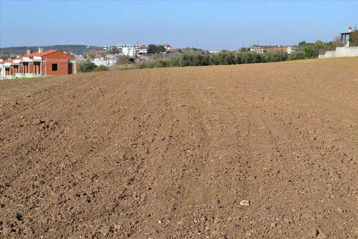 Land Of 5000 M² In Chalkidiki