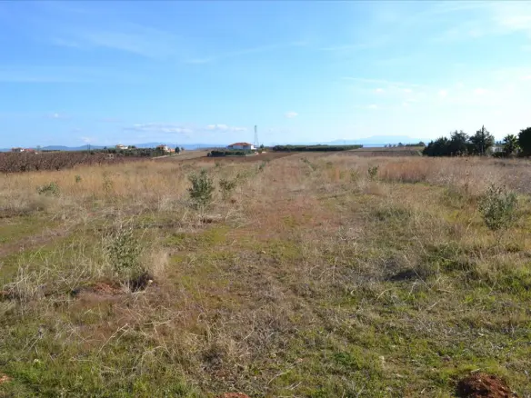 Land Of 10000 M² In Kassandra, Chalkidiki