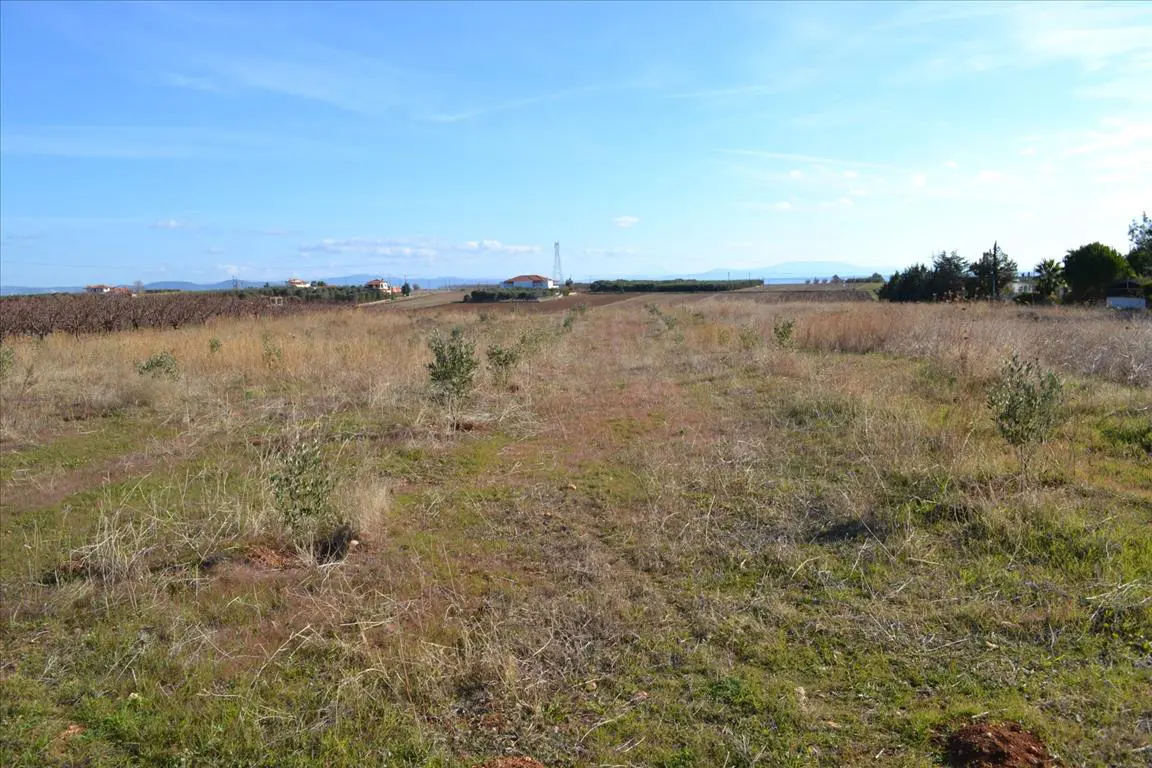 Land In Nea Propontida, Greece