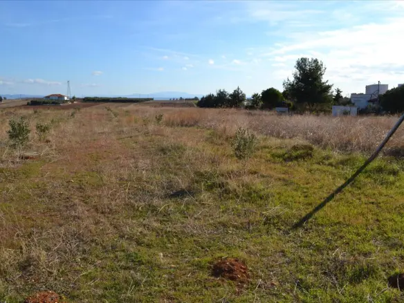 Land In Nea Propontida, Greece