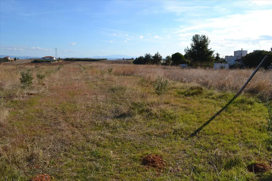 Land In Nea Propontida, Greece