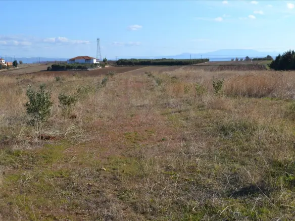 Land In Nea Propontida, Greece