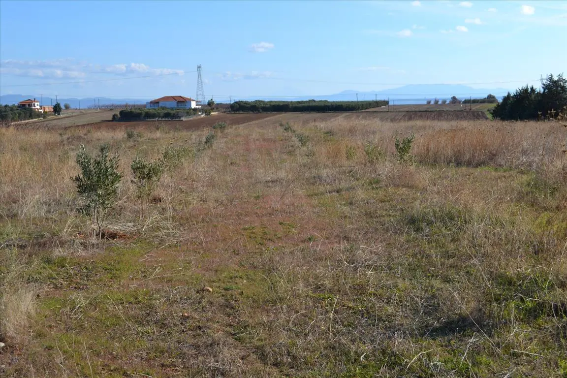 Land In Nea Propontida, Greece