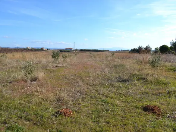 Land In Nea Propontida, Greece