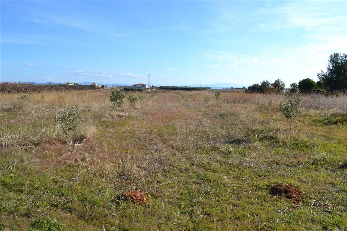 Land In Nea Propontida, Greece