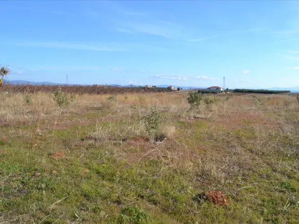 Land In Nea Propontida, Greece