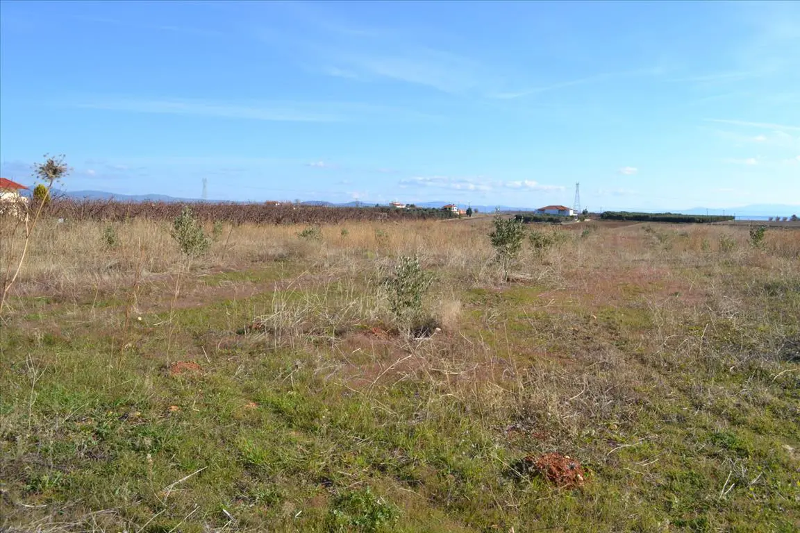 Land In Nea Propontida, Greece