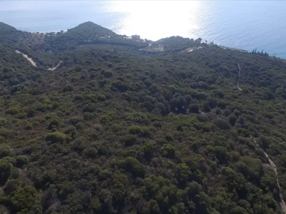 Land In Aristotle, Greece