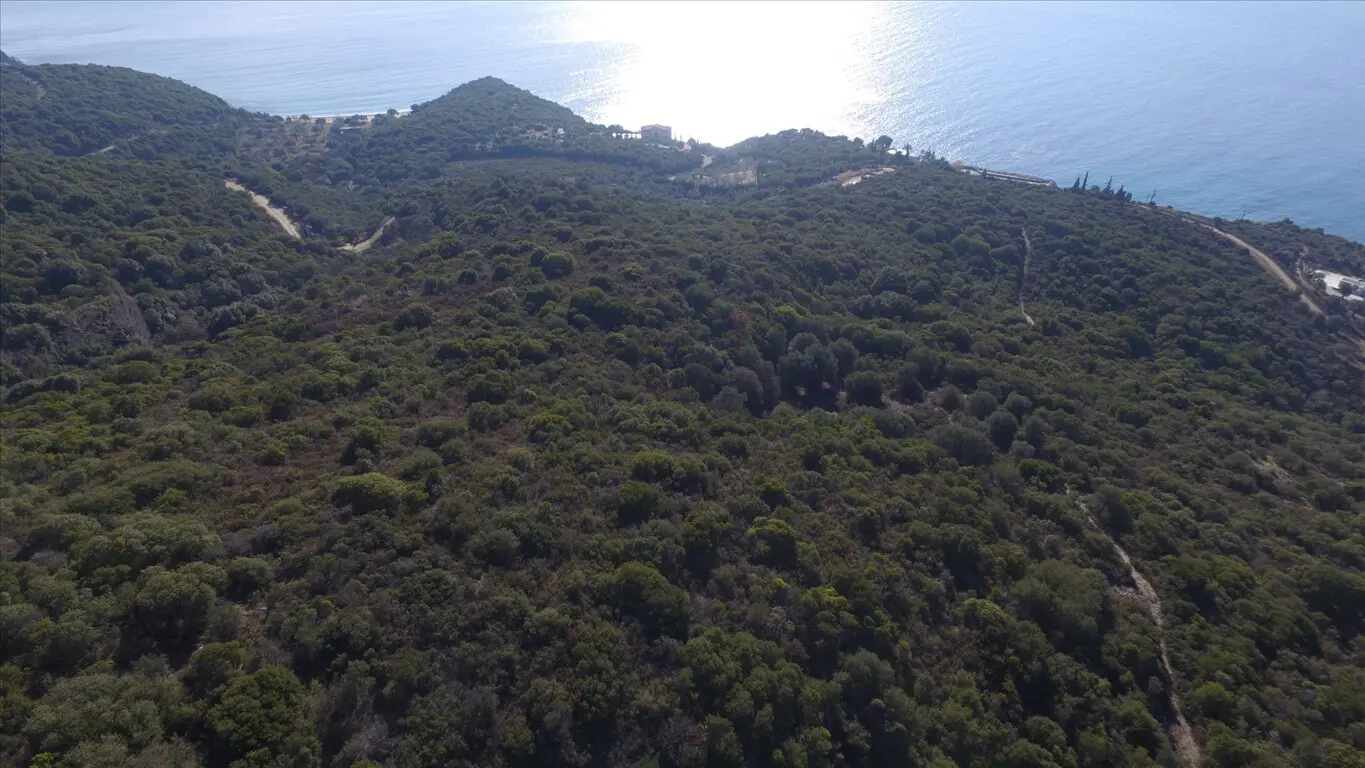 Land Of 12415 M² In Athos, Chalkidiki