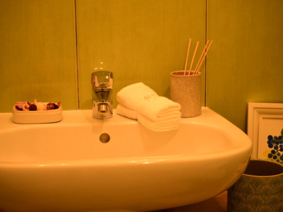 Apartment Of 1,700 M² With Panoramic Terrace And Linden Grove In [location]