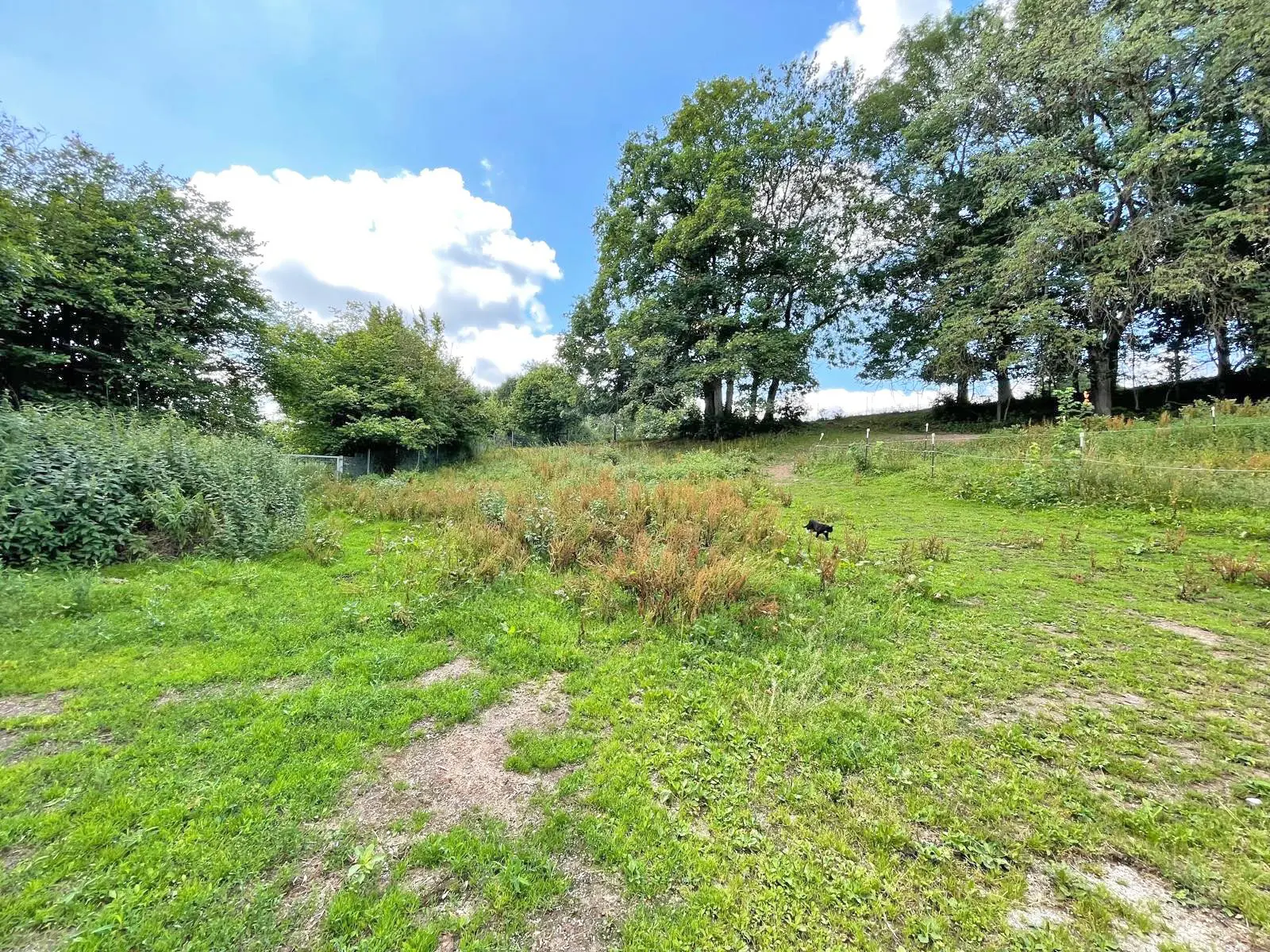 Apartment Of 330 M² In Hosenfeld