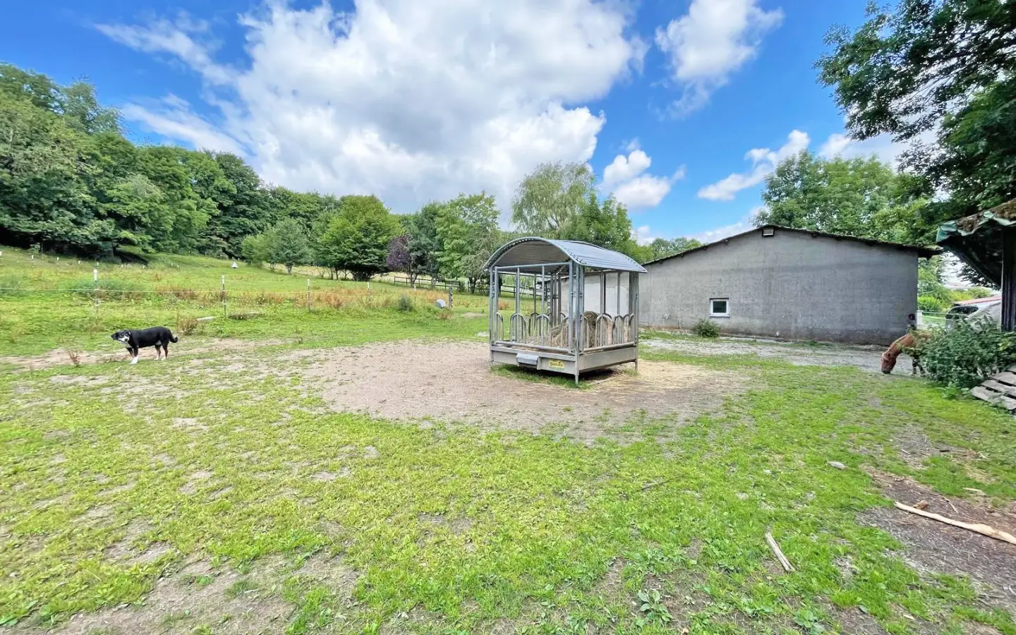Apartment Of 330 M² In Hosenfeld
