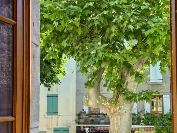 5-bedroom Village House In Chalabre, France (162 M²)