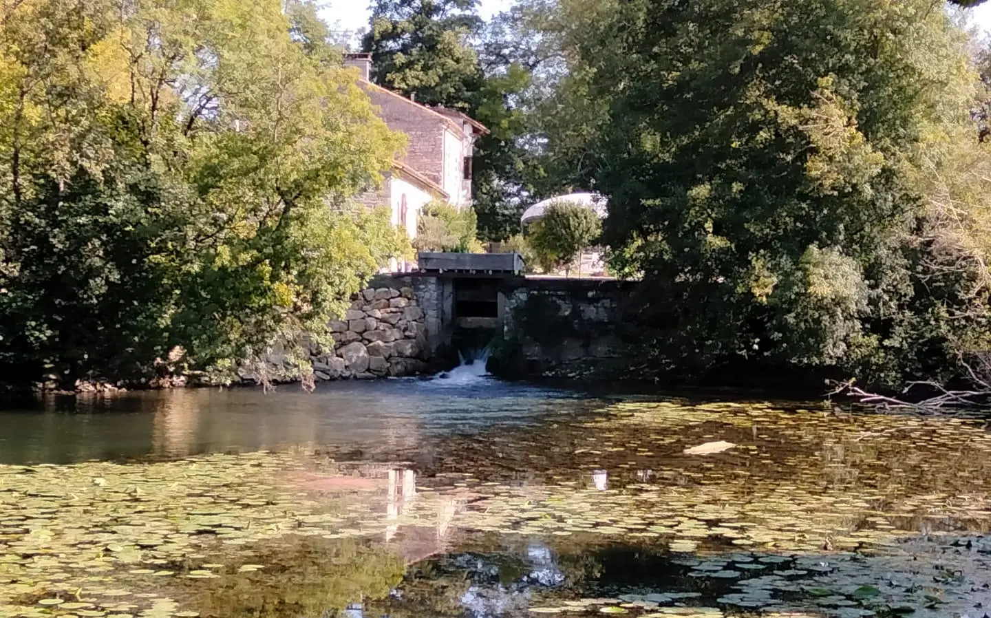 Old Stone Mill Of 500 M² With Private Island And River Views In Charente