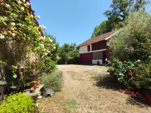 4-bedroom House In Alloue, France (143 M²)