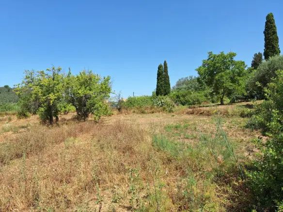 Land In Corfu, Greece