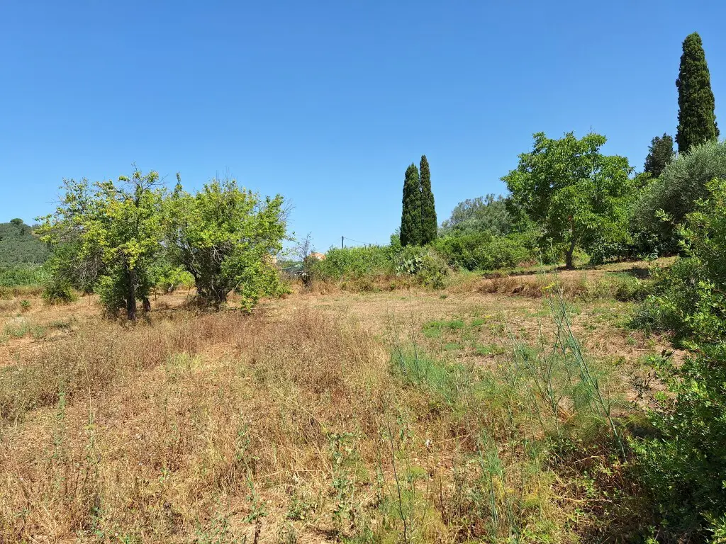 Land Of 2500 M² In Corfu