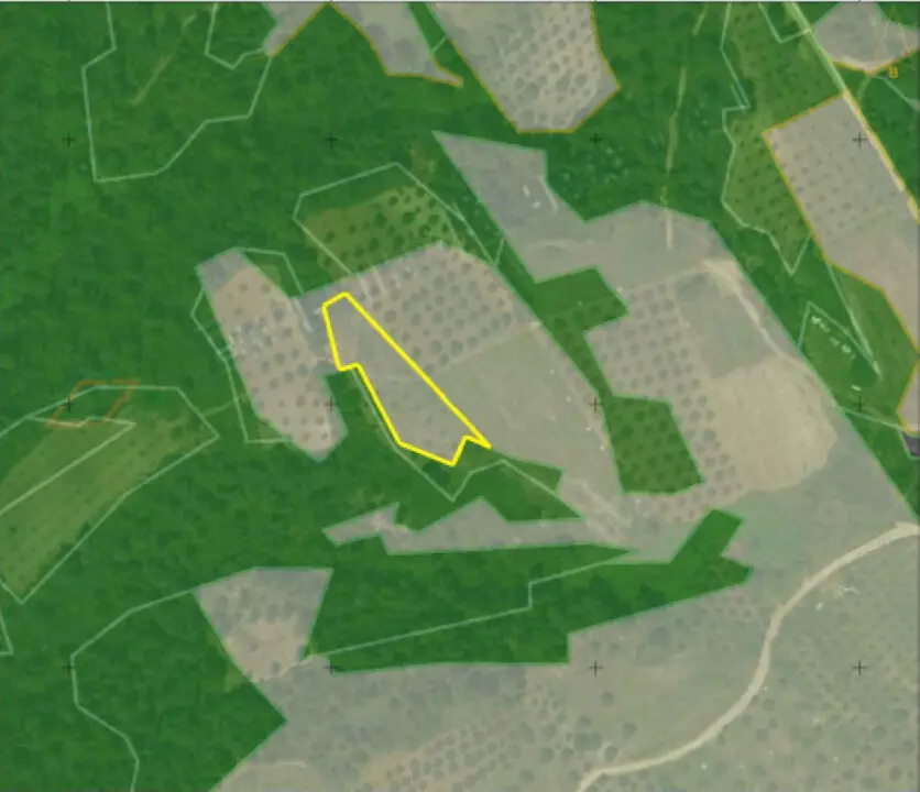 Land Of 2158 M² In Sithonia, Chalkidiki
