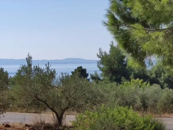 Land In Poligiros, Greece