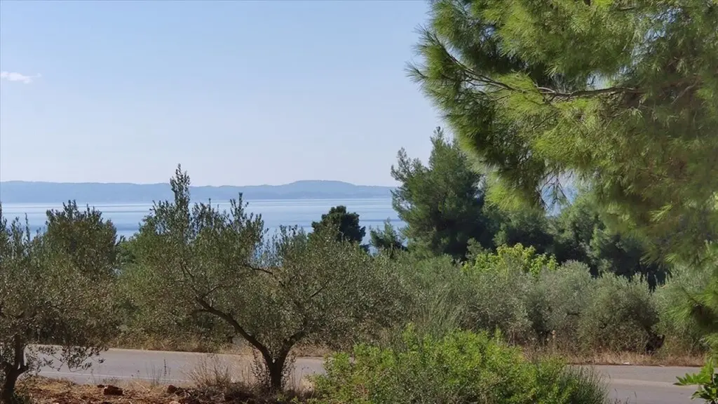 Land Of 1206 M² In Sithonia, Chalkidiki