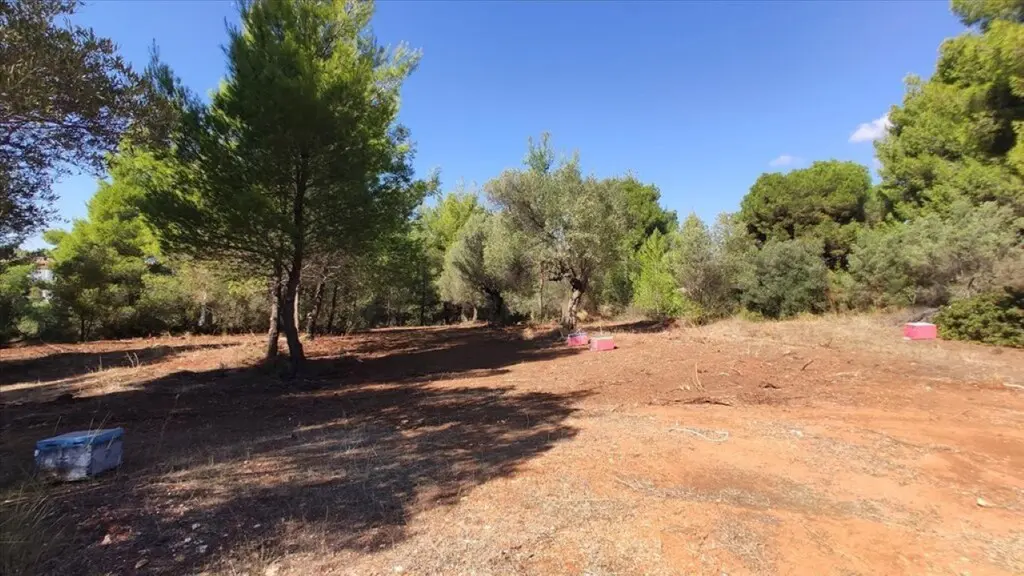 Land Of 1206 M² In Sithonia, Chalkidiki