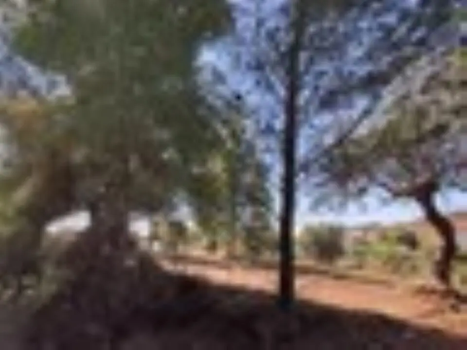 Land Of 3208 M² In Sithonia, Chalkidiki