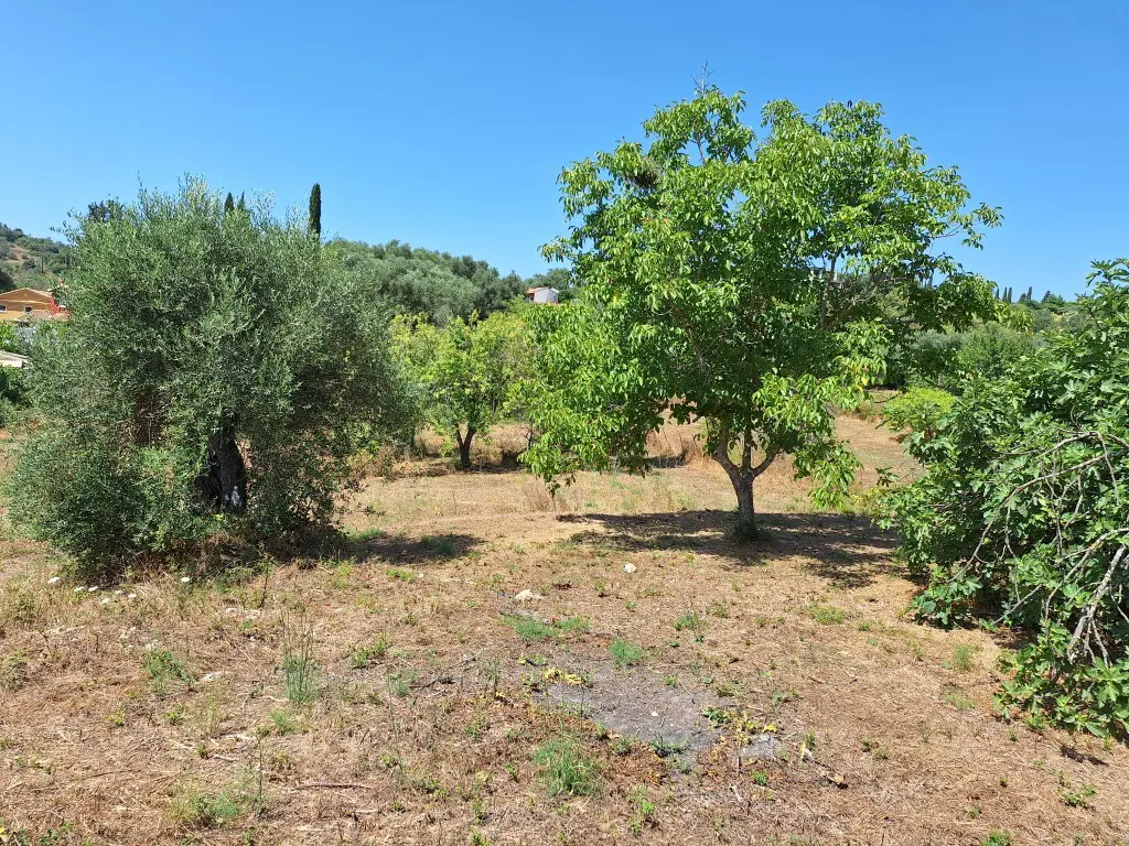 Land Of 2500 M² In Corfu