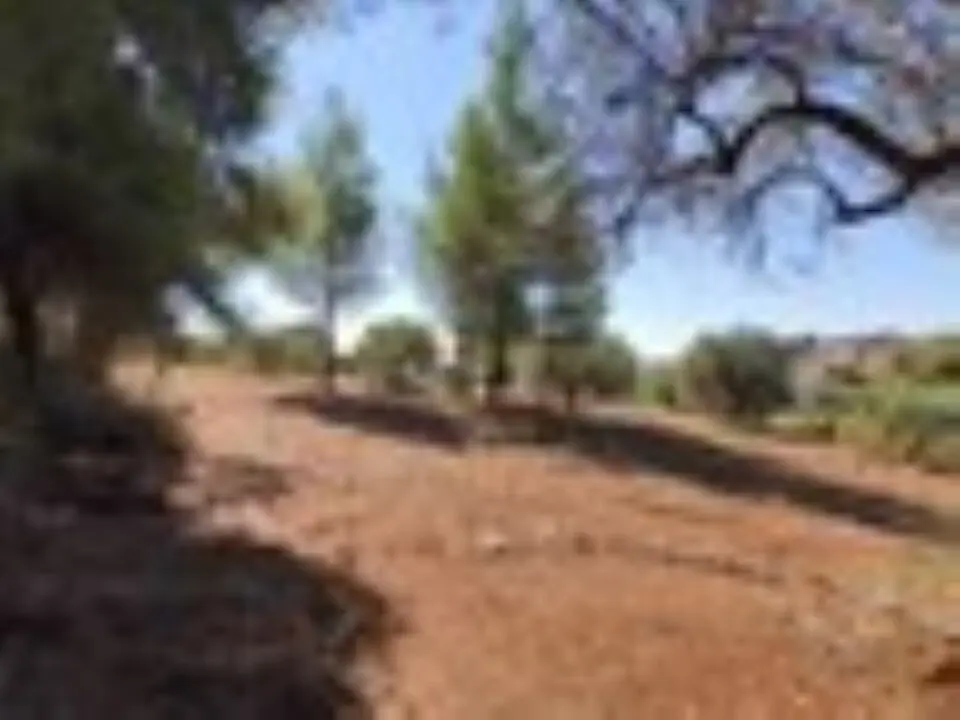 Land Of 3208 M² In Sithonia, Chalkidiki