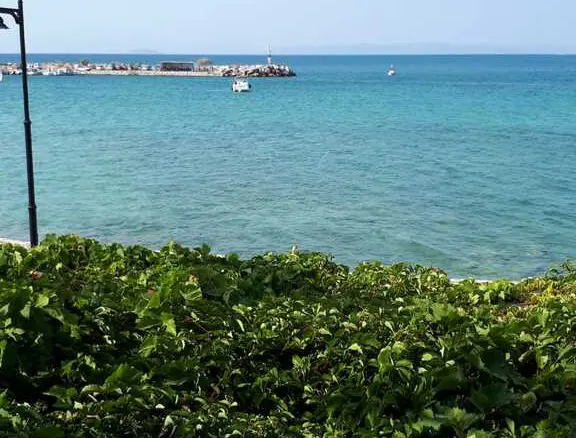 Commercial Property In Agkistri, Greece (660 M²)