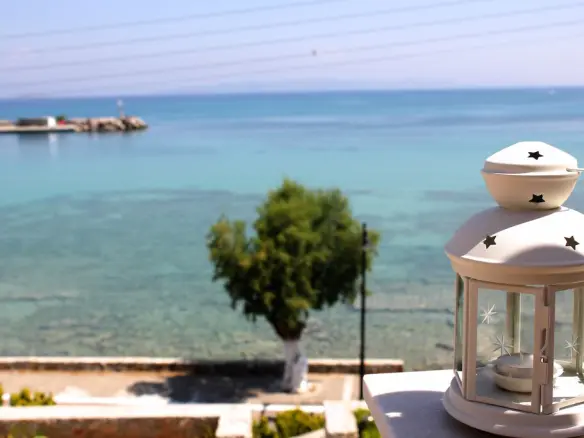 Commercial Property In Agkistri, Greece (660 M²)