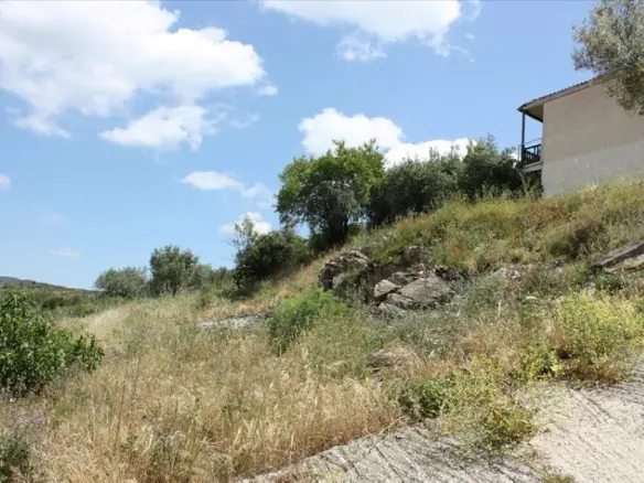 Land In Aristotle, Greece